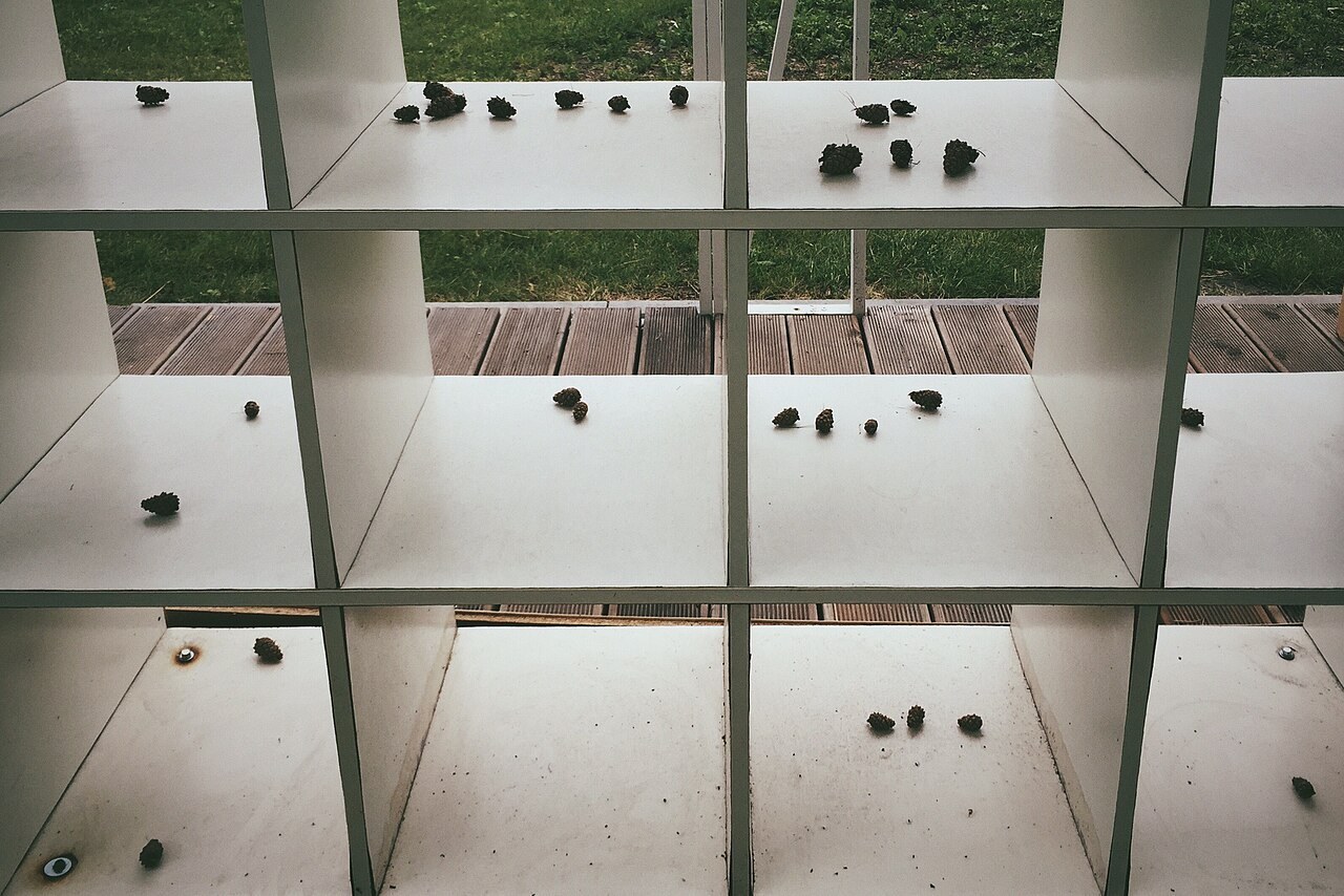 Shelving: take fixings and load specifications seriously