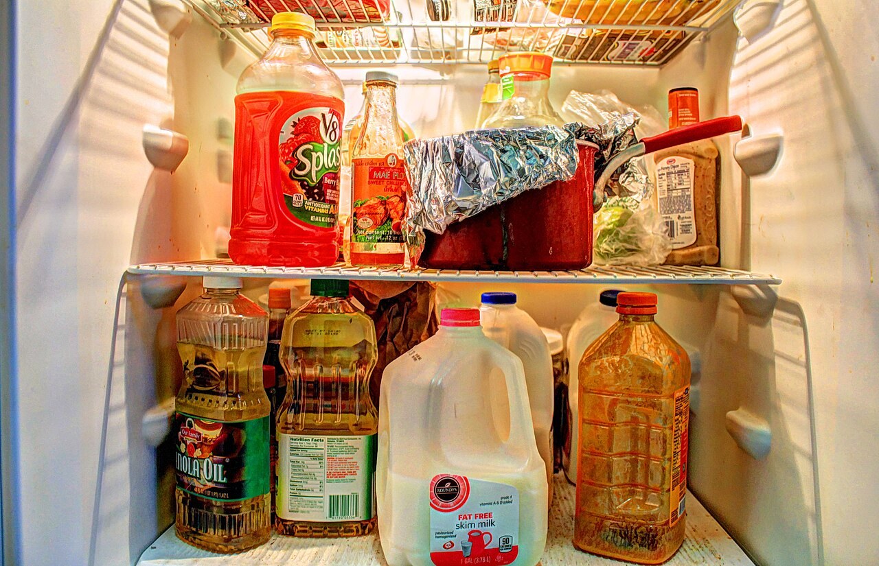 Fridge care: Airflow, seals and interior surfaces